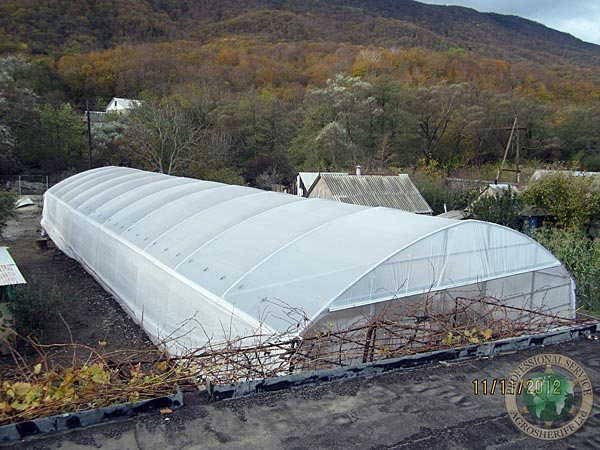 greenhouse_built