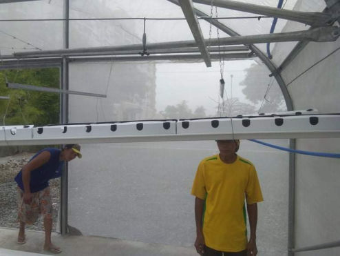 special_walk_through_design