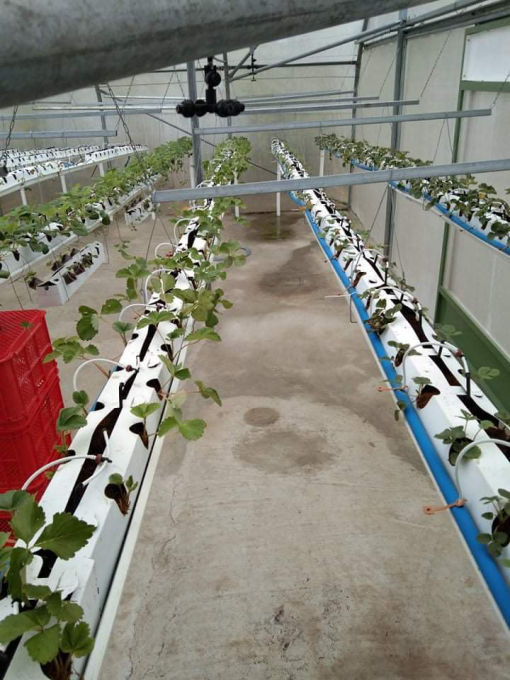 280sqm_3_rows_complete