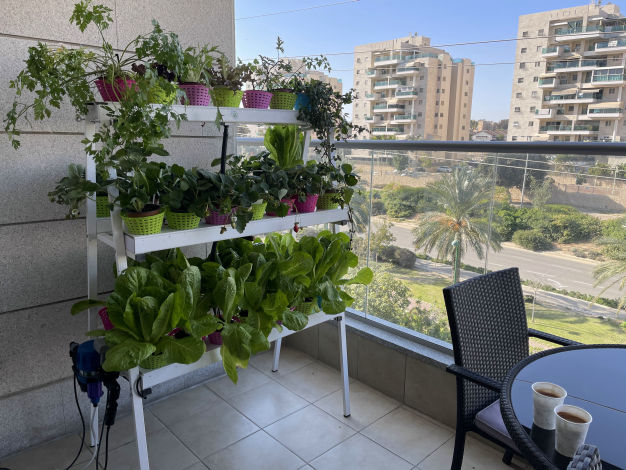 GOLDA_Facility_balcony