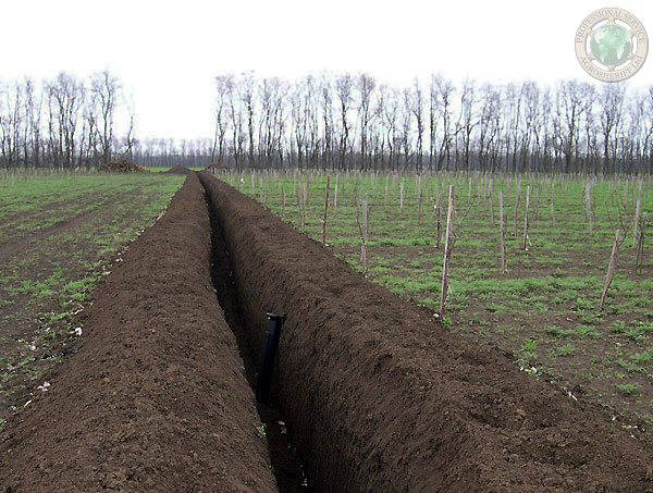 agriculture_project_construction