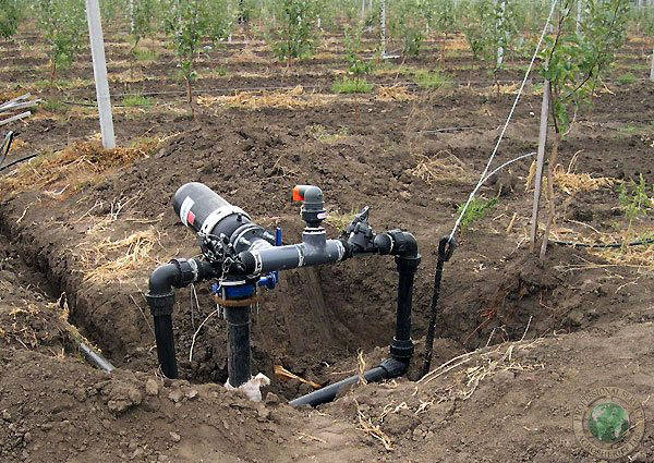 wate_destribution_system