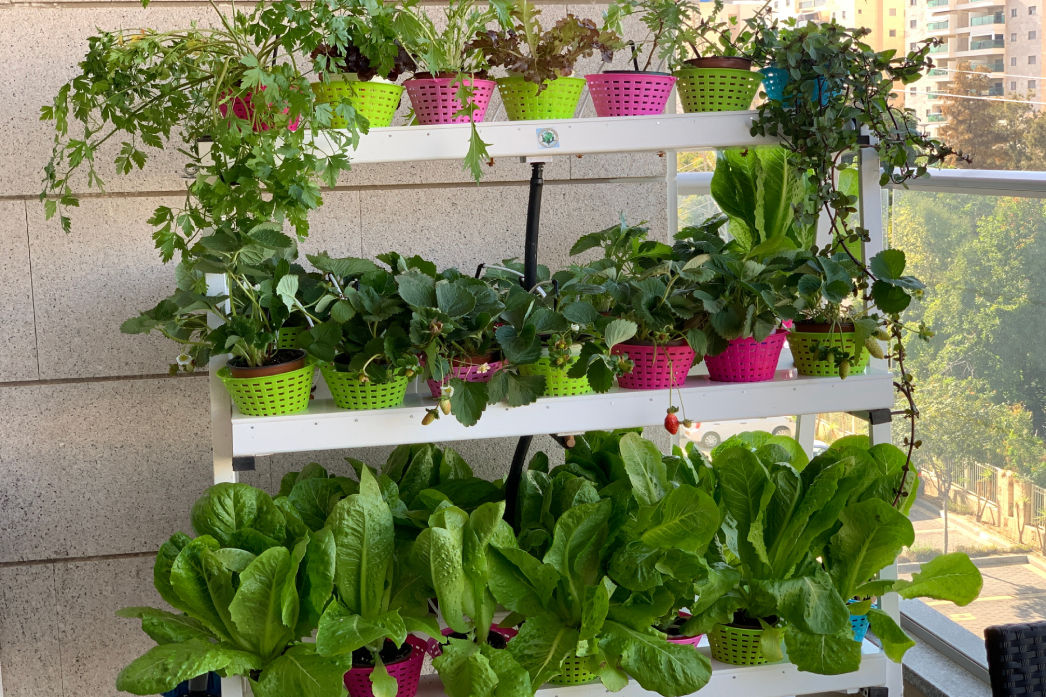 golda_facility_agrosheriff