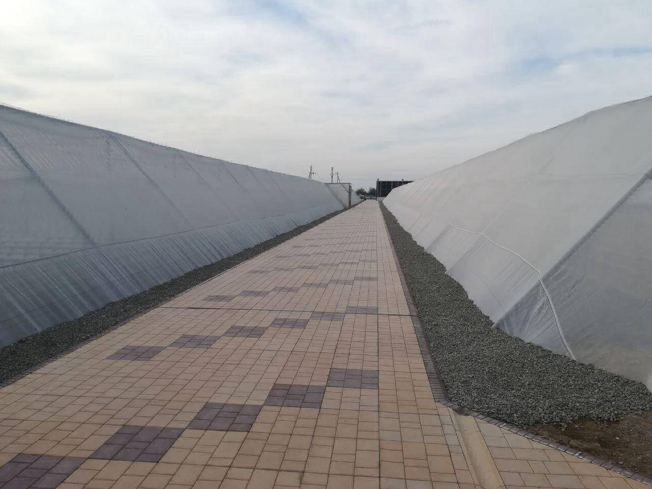 green_house_israel_agrosheriff