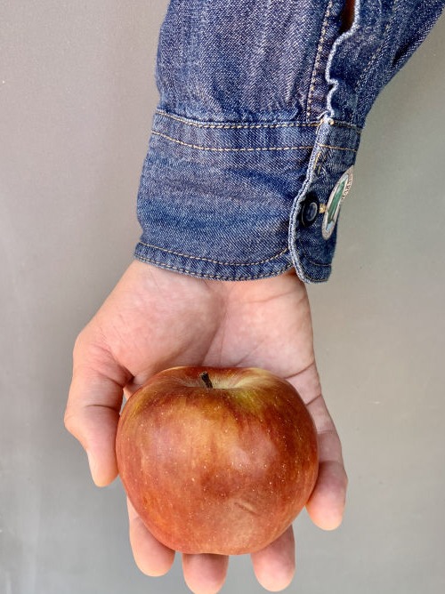 agrosheriff_sustain_food