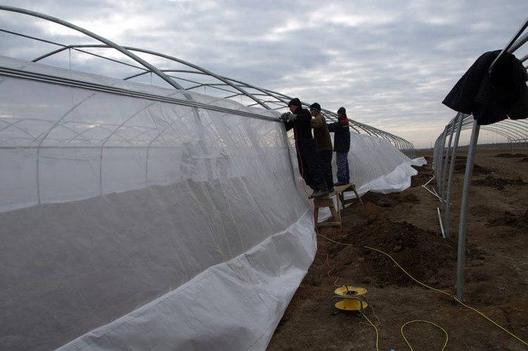 nethouse_construction