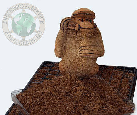 coco_peat_sculpture